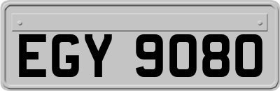 EGY9080