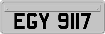 EGY9117