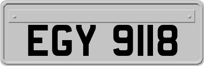 EGY9118