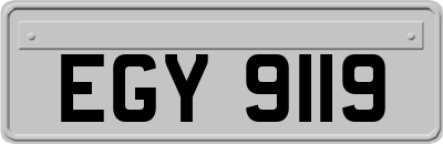 EGY9119