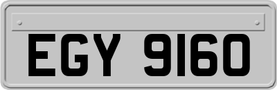 EGY9160