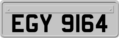 EGY9164