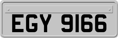 EGY9166