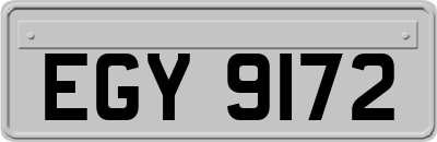 EGY9172