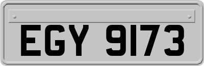 EGY9173