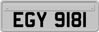 EGY9181