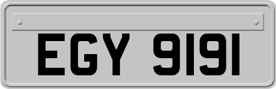 EGY9191