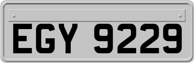 EGY9229