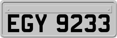 EGY9233