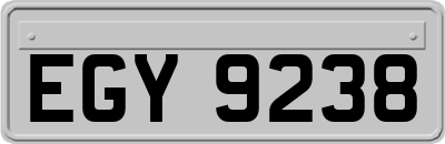 EGY9238