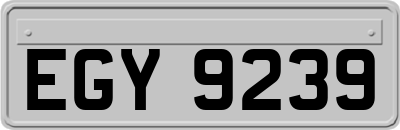 EGY9239