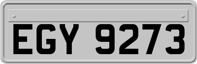 EGY9273