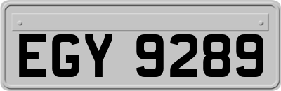 EGY9289
