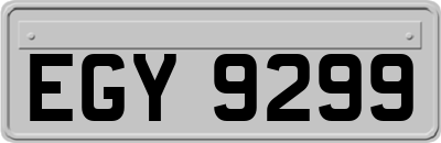 EGY9299