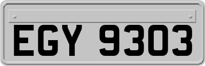 EGY9303