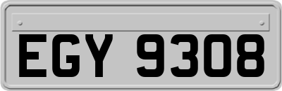 EGY9308