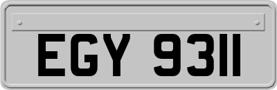 EGY9311