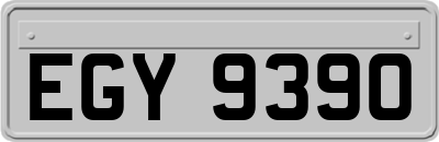 EGY9390