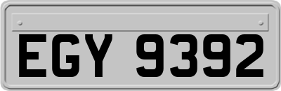 EGY9392