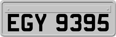 EGY9395