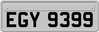 EGY9399
