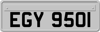 EGY9501