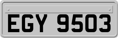 EGY9503