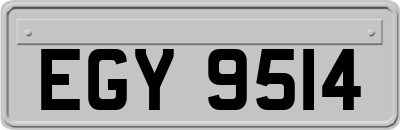 EGY9514