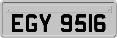 EGY9516