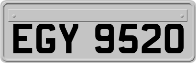 EGY9520
