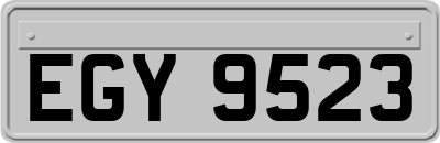 EGY9523
