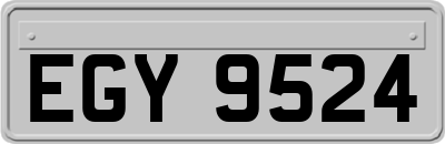 EGY9524