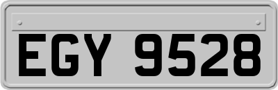 EGY9528