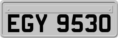 EGY9530