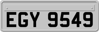 EGY9549