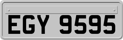 EGY9595