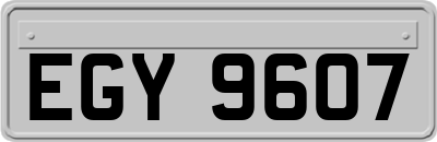 EGY9607
