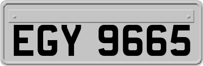 EGY9665