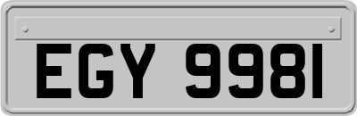 EGY9981