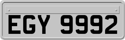 EGY9992