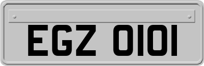 EGZ0101