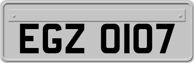 EGZ0107