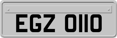 EGZ0110