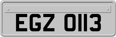 EGZ0113