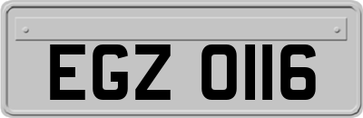 EGZ0116