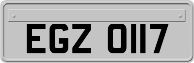 EGZ0117