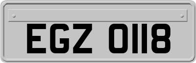 EGZ0118