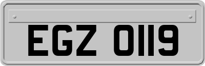 EGZ0119
