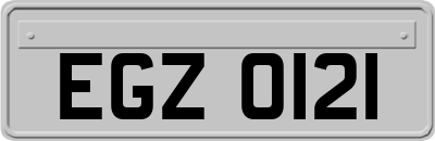 EGZ0121