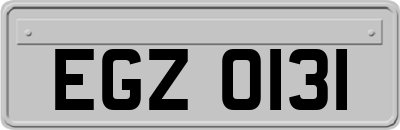 EGZ0131